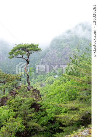 Mirror Rock and Lone Pine (Gorozuka) on Mount Horaiji 126326263