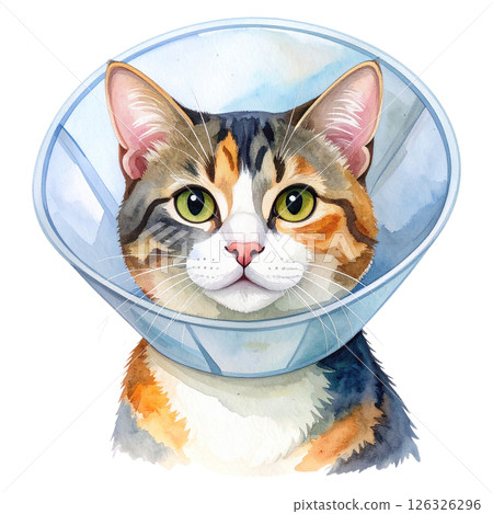 Chubby Calico Cat adorable Clipart watercolor cozy naps and playful 126326296