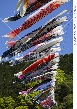 鯉魚旗 鯉魚旗 126326328