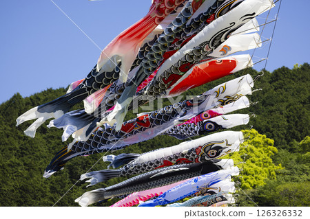 Carp streamer Carp streamer 126326332