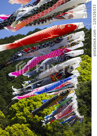 Carp streamer 126326333