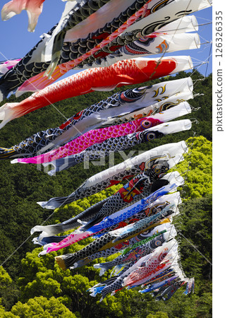 鯉魚旗 鯉魚旗 126326335