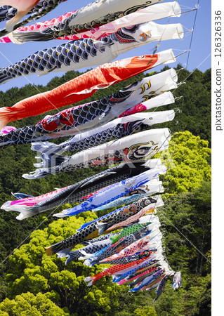 Carp streamer Carp streamer 126326336