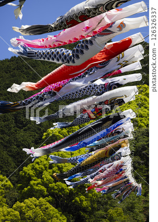 鯉魚旗 鯉魚旗 126326337