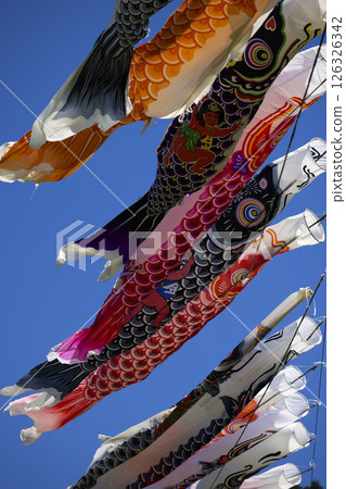 Carp streamer 126326342