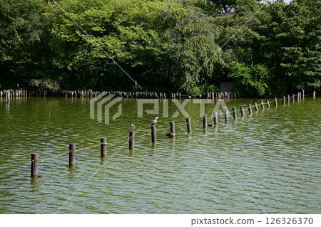 Washed pond Washed pond 126326370