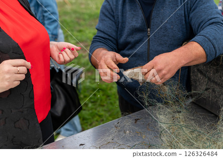 Generated image 126326484