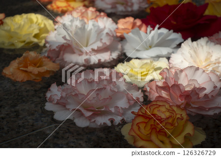 Flower Water Flower Water 126326729