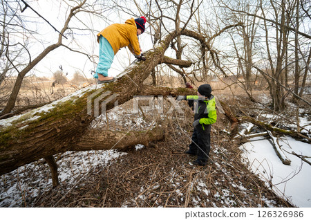 Children explore a fallen tree near a winter creek as they climb and discover nature's wonders on a chilly afternoon 126326986