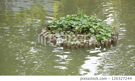 A pond A pond 126327244