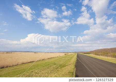 北海道釧路濕原風景 126327329