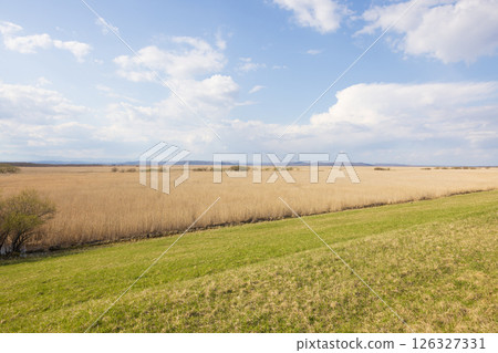 北海道釧路濕原風景 126327331
