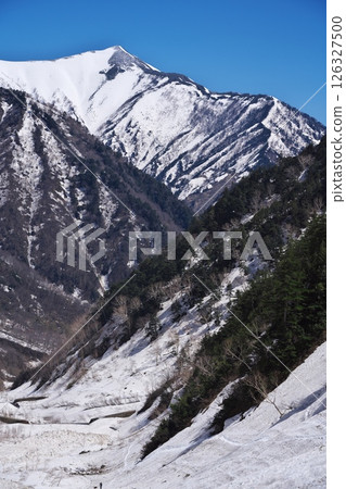 從針木山的春雪原回望地之岳 126327500