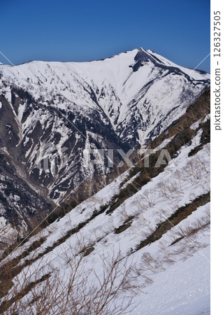 Looking back at Mt. Jigatake from the spring snowfields of Mt. Harinoki 126327505