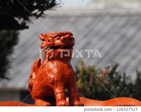 常滑陶藝人行道 風獅 126327527