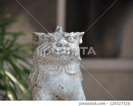 常滑陶藝人行道 風獅 126327528