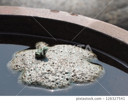 Water lily pot and frog ornament 126327541