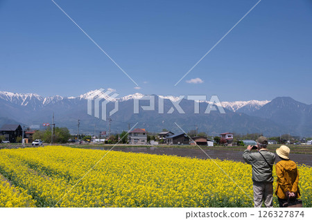 安曇野、油菜花田和北阿爾卑斯山 126327874