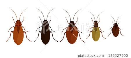Five cockroaches of different colors showing diversity within species Five cockroaches of different colors showing diversity within species 126327900