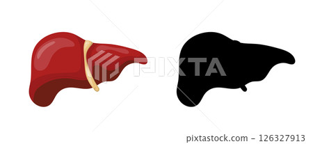 Human liver with realistic color and black silhouette on white background 126327913