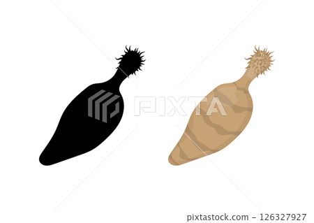 Thorny headed worm, spiny headed worm or acanthocephalan. Thorny headed worm, spiny headed worm or acanthocephalan. 126327927