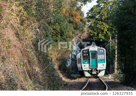 【牟岐線】穿梭於樹林間的本地列車 【牟岐線】穿梭於樹林間的本地列車 126327935