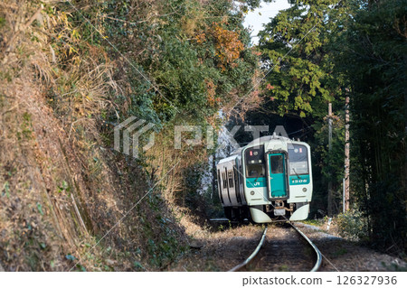 【牟岐線】穿梭於樹林間的本地列車 126327936