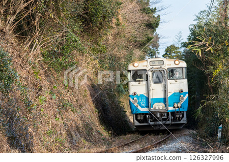 [Mugi Line] A local train passing through a grove of trees 126327996
