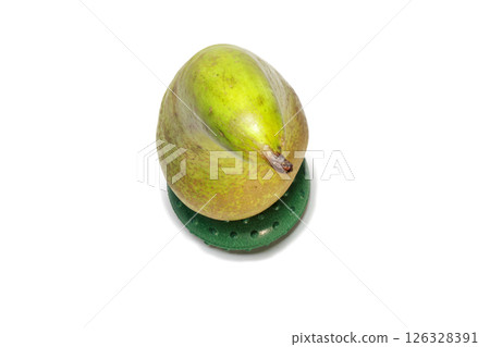 pear conference on green round stand, made of rubber hand expander tool, isolated on white background. half green, with gray-brown spots, half skin is rough. top view 126328391