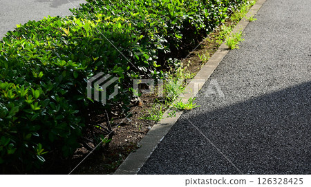 Fences and walkways Fences and walkways 126328425