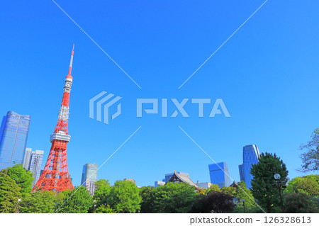 東京鐵塔和東京港區的新鮮綠地 東京鐵塔和東京港區的新鮮綠地 126328613