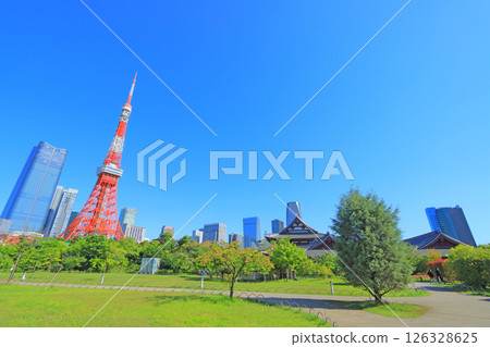 Tokyo Tower and fresh greenery in Minato-ku, Tokyo 126328625