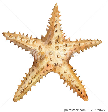 watercolor beige spiny starfish illustration with sharp texture isolated white marine ocean animal sea creature artwork watercolor beige spiny starfish illustration with sharp texture isolated white marine ocean animal sea creature artwork 126329627