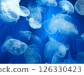 一群透明的月亮水母漂浮在夢幻般的場景中 126330423