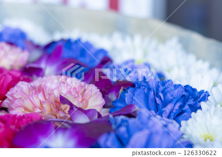 Gyoda Flower Water Purification 2025 126330622