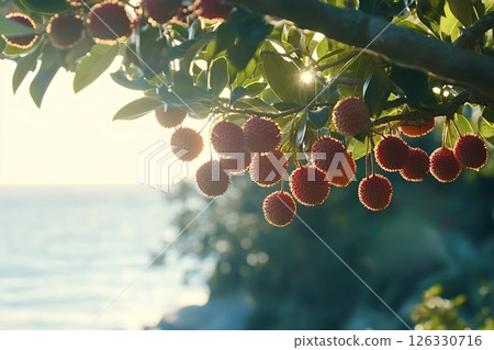 Ripe arbutus unedo fruits hanging on branch at sunset over the sea 126330716