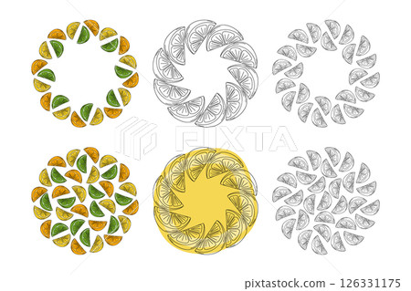 Lemon Lime Orange Citrus slices Outline and Colorful Circle Frames Copy space and Backgrounds Bundle Lemon Lime Orange Citrus slices Outline and Colorful Circle Frames Copy space and Backgrounds Bundle 126331175