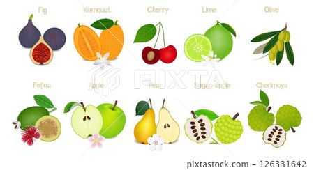 Set of whole fruits and a half isolated on white background.. 126331642