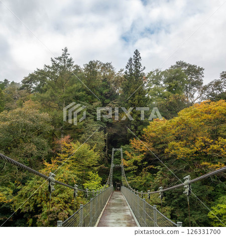 Tsutsuji Bridge over Tenryu Gorge, Iida City, Nagano Prefecture Tsutsuji Bridge over Tenryu Gorge, Iida City, Nagano Prefecture 126331700