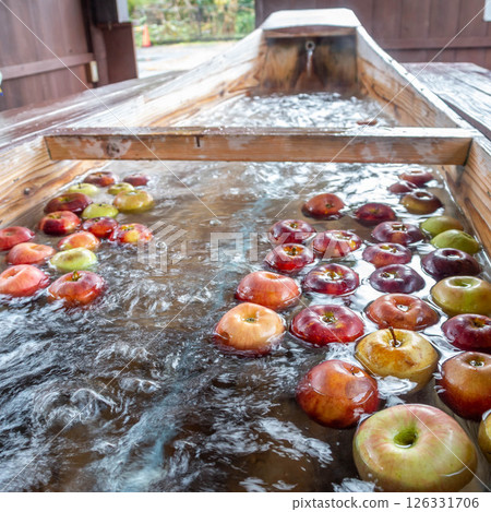 Apple foot bath in Tenryukyo, Iida City, Nagano Prefecture Apple foot bath in Tenryukyo, Iida City, Nagano Prefecture 126331706