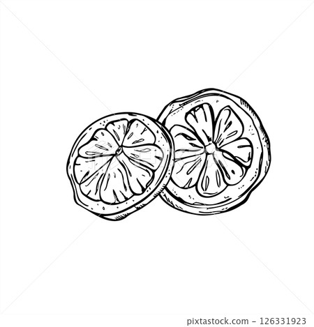 Vector two overlapping citrus fruit slices realistic graphic sketch illustration painted by black inks. Lemon, orange and lime slice for food packaging, healthy lifestyle designs, recipes, beverage 126331923