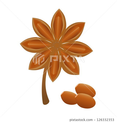 Star anise fruits with seeds on a white background. Star anise fruits with seeds on a white background. 126332353