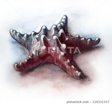 Hand drawn starfish, underwater animals. Summer vacation and sea coast. Hand drawn starfish, underwater animals. Summer vacation and sea coast. 126332357