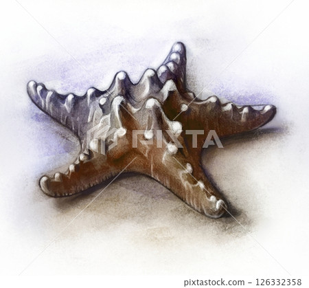 Hand drawn starfish, underwater animals. Summer vacation and sea coast. Hand drawn starfish, underwater animals. Summer vacation and sea coast. 126332358