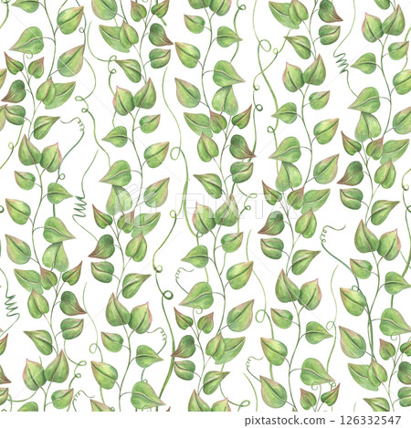 Watercolor climbing vine branches seamless pattern isolated background. Abstract wild plants with lush foliage for textile design, wallpaper, wedding stationery, and nature inspired home decor. Watercolor climbing vine branches seamless pattern isolated background. Abstract wild plants with lush foliage for textile design, wallpaper, wedding stationery, and nature inspired home decor. 126332547