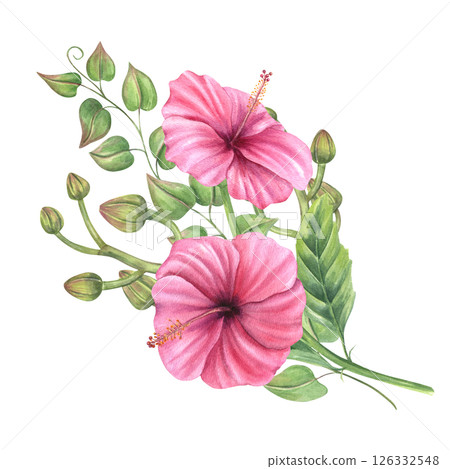 Watercolor romantic pink mallow with orchid buds and climbing vines illustration isolated background. Tropical bouquet for wedding stationery, feminine home decor, and botanical designs. Watercolor romantic pink mallow with orchid buds and climbing vines illustration isolated background. Tropical bouquet for wedding stationery, feminine home decor, and botanical designs. 126332548