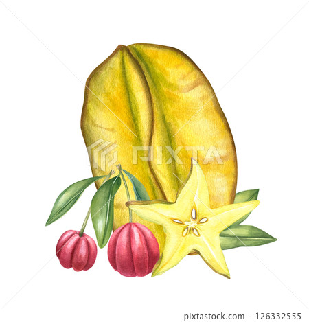 Watercolor whole starfruit, star shaped slice, and antioxidant rich acerola berries composition isolated background. Summer tropical fruits illustration for food branding, healthy juice packaging Watercolor whole starfruit, star shaped slice, and antioxidant rich acerola berries composition isolated background. Summer tropical fruits illustration for food branding, healthy juice packaging 126332555