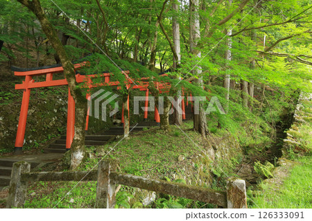兵庫縣勝岡市有子山稻荷神社之路 兵庫縣勝岡市有子山稻荷神社之路 126333091