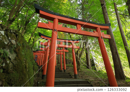 兵庫縣勝岡市有子山稻荷神社之路 兵庫縣勝岡市有子山稻荷神社之路 126333092