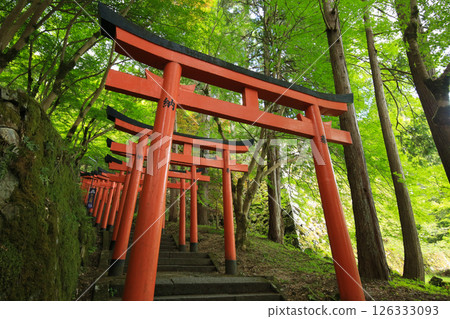 兵庫縣勝岡市有子山稻荷神社之路 126333093